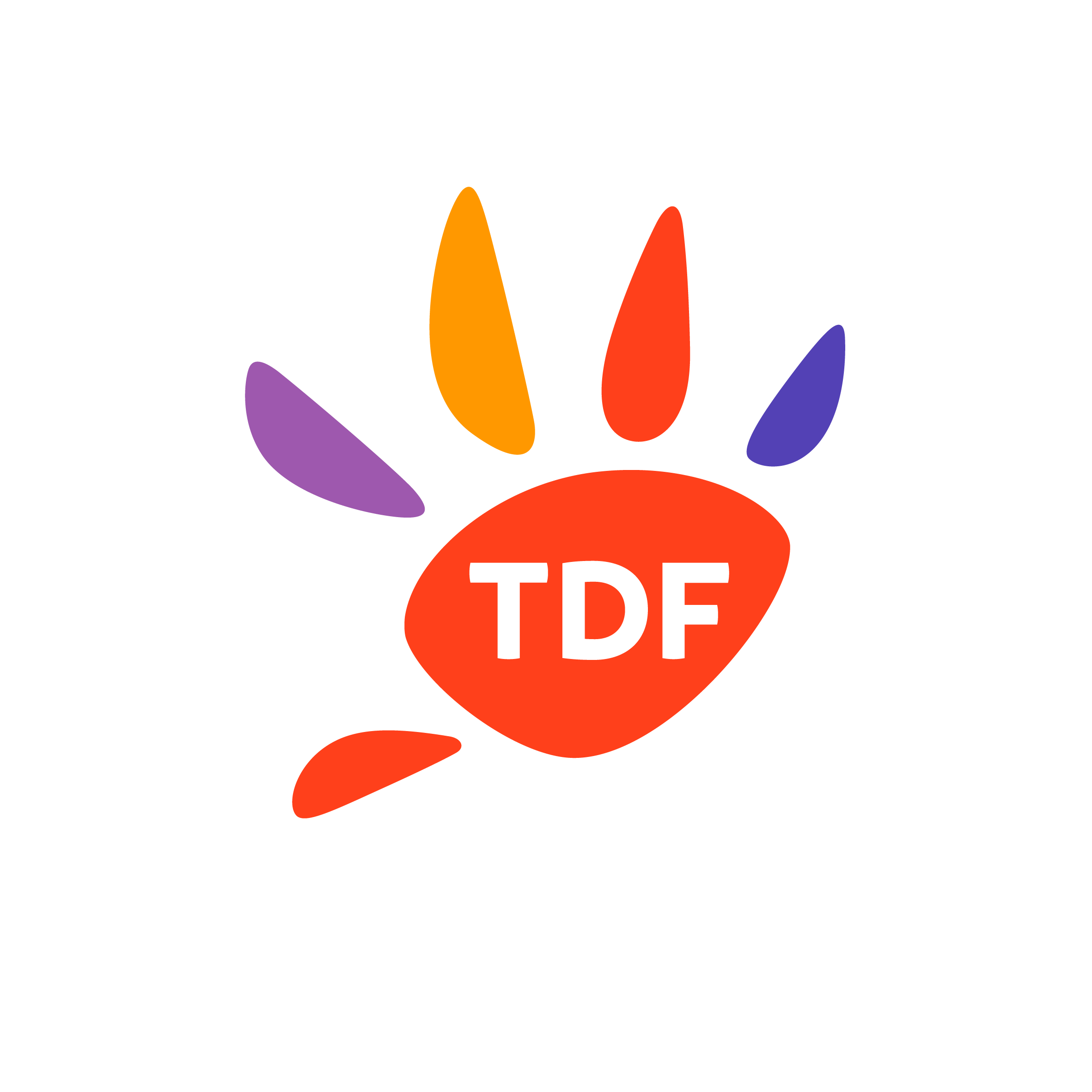 Logo TDF